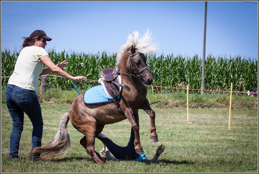 Mounted Games 113